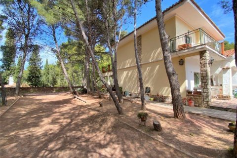 Villa à vendre à Naquera, Valencia, Espagne, 7 chambres, 279 m2 No. 53901 - photo 13