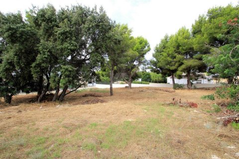 Land plot à vendre Javea, Alicante, EspagneNo. 54434 - photo 4
