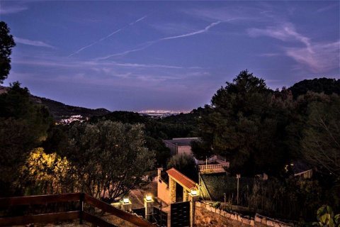 Villa à vendre à Naquera, Valencia, Espagne, 5 chambres, 423 m2 No. 54300 - photo 7