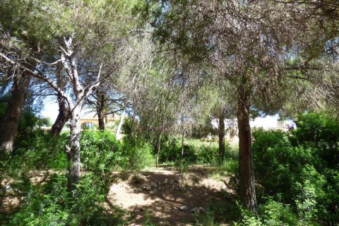 Land plot à vendre Benissa, Alicante, EspagneNo. 54276 - photo 14