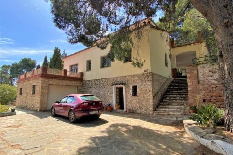 Villa à vendre à Naquera, Valencia, Espagne, 7 chambres, 279 m2 No. 53901 - photo 10