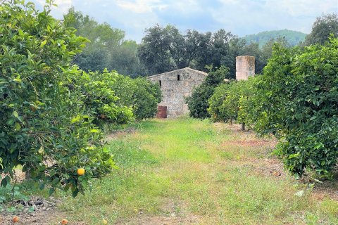 Finca à vendre à Sa Pobla, Mallorca, Espagne, 4 chambres, 164 m2 No. 56688 - photo 20