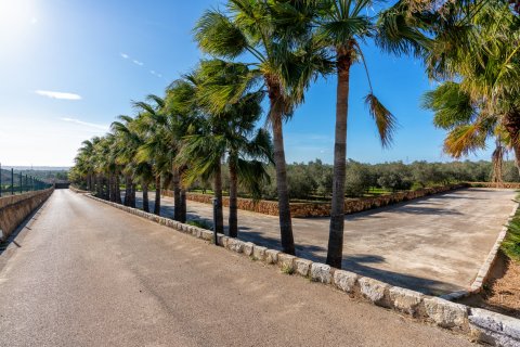 Finca à vendre à Puntiro, Mallorca, Espagne, 6 chambres, 1846 m2 No. 56612 - photo 20