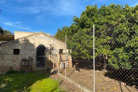 Finca à vendre à Selva, Mallorca, Espagne, 4 chambres, 140 m2 No. 56617 - photo 5