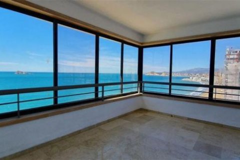 Apartment à vendre à Benidorm, Alicante, Espagne, 1 chambre, 70 m2 No. 58287 - photo 3