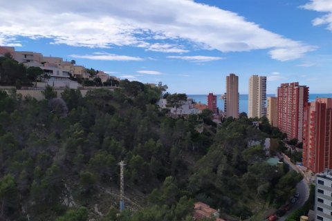 Apartment à vendre à Benidorm, Alicante, Espagne, 2 chambres, 75 m2 No. 59098 - photo 7