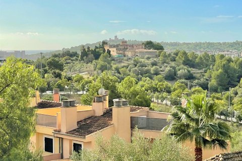 Villa à vendre à Palma de Majorca, Mallorca, Espagne, 6 chambres, 501 m2 No. 59545 - photo 3