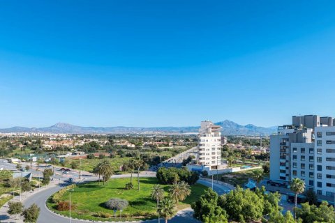 Apartment à vendre à San Juan, Alicante, Espagne, 2 chambres, 203 m2 No. 59382 - photo 6