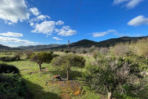 Finca à vendre à Andratx, Mallorca, Espagne, 4 chambres, 259 m2 No. 60573 - photo 2