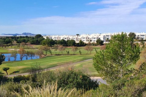 Villa à vendre à Pilar de la Horadada, Alicante, Espagne, 3 chambres, 150 m2 No. 60570 - photo 6