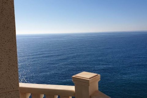 Albergo in vendita Benidorm, Alicante, Spagna N° 11523 - foto 1
