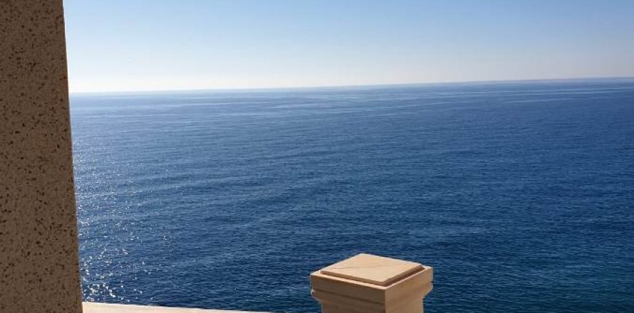 Albergo Benidorm, Alicante, Spagna N° 11523
