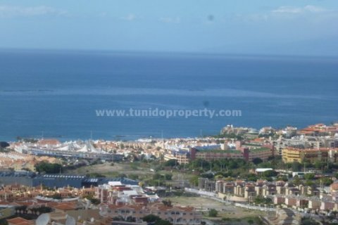 Villa in vendita Torviscas, Tenerife, Spagna 4 camere da letto, 690 mq. N° 24291 - foto 27