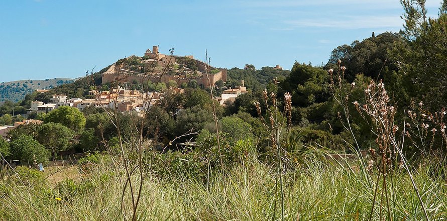 Terreno a Capdepera, Mallorca, Spagna 32467 mq. N° 32556