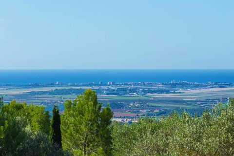 Terreno in vendita a Puntiro, Mallorca, Spagna 15215 mq. N° 32858 - foto 1