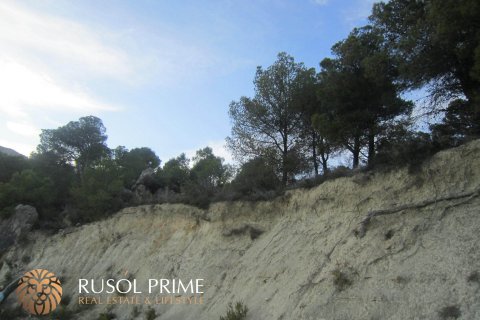 Terreno in vendita Benissa, Alicante, Spagna 33500 mq. N° 39403 - foto 3