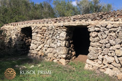 Villa in vendita Alaior, Menorca, Spagna 5 camere da letto, 330 mq. N° 11201 - foto 5