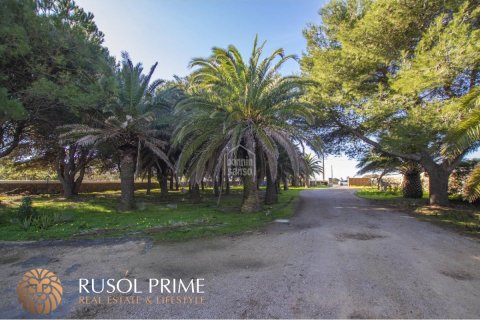 Villa in vendita a Ciutadella De Menorca, Menorca, Spagna 7 camere da letto, 452 mq. N° 10562 - foto 5