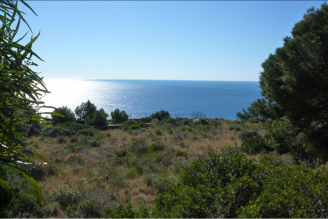 Terreno in vendita a Javea, Alicante, Spagna N° 44048 - foto 6