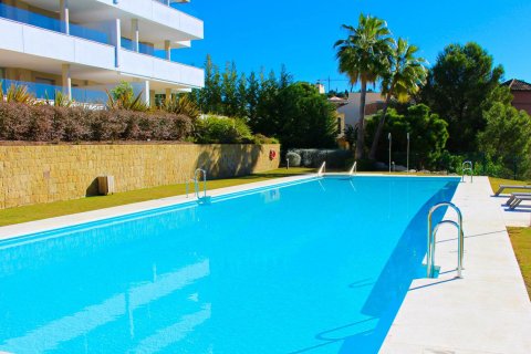 Botanic Benahavis, Malaga, Spagna N° 41326 - foto 3