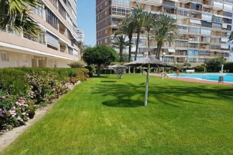 Appartamento in vendita Alicante, Spagna 3 camere da letto, 90 mq. N° 45162 - foto 5