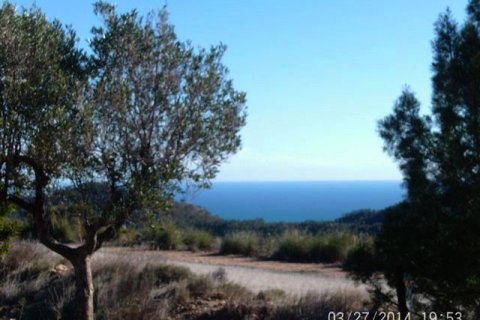 Terreno in vendita a Villajoyosa, Alicante, Spagna N° 42607 - foto 1