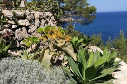 Villa in vendita Ibiza, Spagna 7 camere da letto, 278 mq. N° 45312 - foto 1