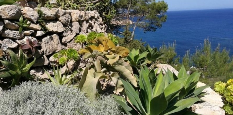 Villa Ibiza, Spagna 7 camere da letto, 278 mq. N° 45312