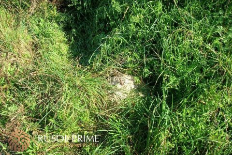 Terreno in vendita a Mahon, Menorca, Spagna N° 47134 - foto 6