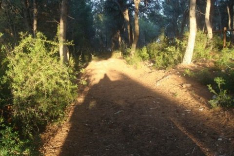 Terreno in vendita Benissa, Alicante, Spagna N° 44392 - foto 9