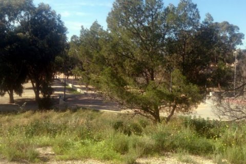 Terreno in vendita Villajoyosa, Alicante, Spagna N° 44040 - foto 9