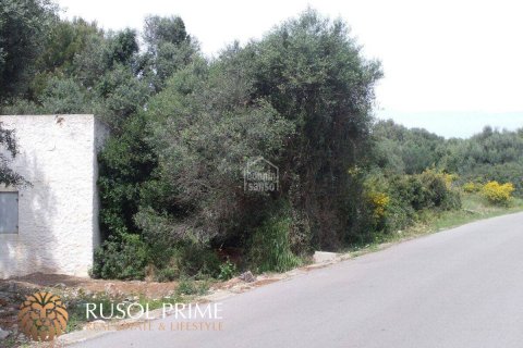 Terreno in vendita a Sant Lluis, Menorca, Spagna 355 mq. N° 46924 - foto 10