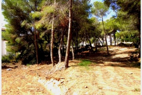 Terreno in vendita a Moraira, Alicante, Spagna N° 43537 - foto 1