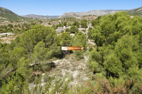 Terreno in vendita a Finestrat, Alicante, Spagna N° 45087 - foto 4