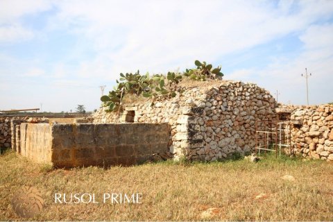 Terreno in vendita a Ciutadella De Menorca, Menorca, Spagna 32791 mq. N° 46881 - foto 5