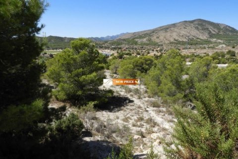Terreno in vendita a Finestrat, Alicante, Spagna N° 45087 - foto 6