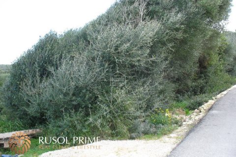 Terreno in vendita a Sant Lluis, Menorca, Spagna N° 47142 - foto 2