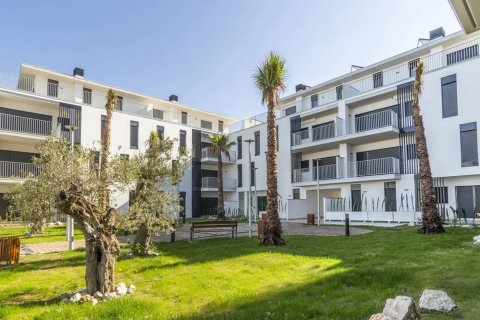 Punta Terraces Cadiz, Spagna N° 48057 - foto 4