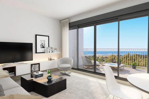 Punta Terraces Cadiz, Spagna N° 48057 - foto 6