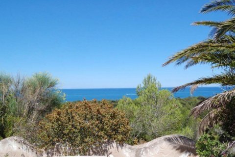 Villa in vendita Denia, Alicante, Spagna N° 50151 - foto 2