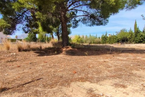 Terreno in vendita a La Nucia, Alicante, Spagna N° 50083 - foto 1