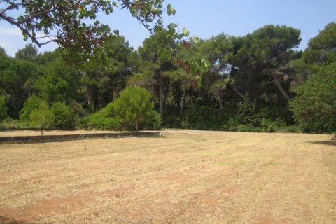 Terreno in vendita a Denia, Alicante, Spagna N° 50223 - foto 2