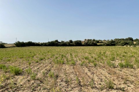 Terreno in vendita a Maria De La Salut, Mallorca, Spagna 1 camera da letto, 28000 mq. N° 50430 - foto 2