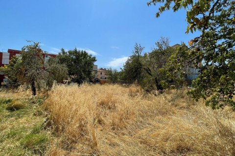 Terreno in vendita a Calvia, Mallorca, Spagna 687 mq. N° 51631 - foto 1