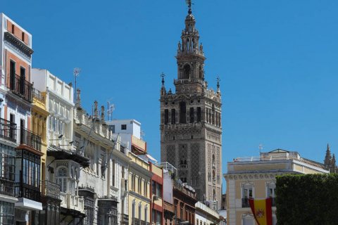 Madrid, Palma and Malaga achieve record home prices