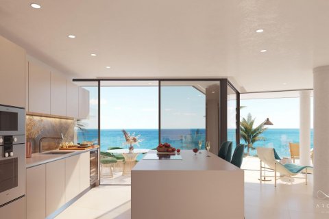 Appartamento in vendita Estepona, Malaga, Spagna 2 camere da letto, 331 mq. N° 53386 - foto 8