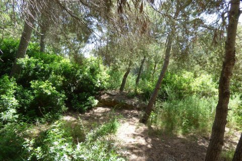 Terreno in vendita Benissa, Alicante, Spagna N° 54276 - foto 23