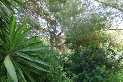 Terreno in vendita Benissa, Alicante, Spagna N° 54276 - foto 11