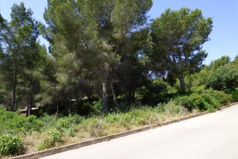 Terreno in vendita Benissa, Alicante, Spagna N° 54276 - foto 6
