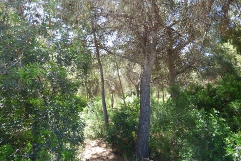 Terreno in vendita Benissa, Alicante, Spagna N° 54276 - foto 12